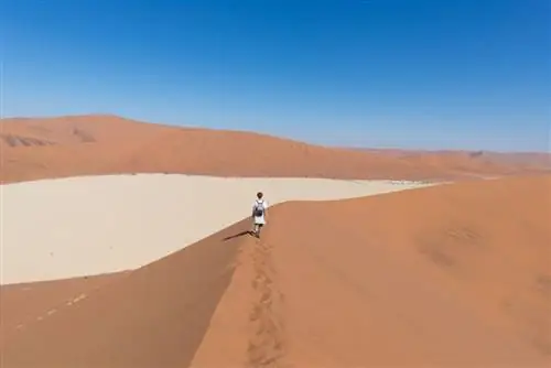 Картина Картина