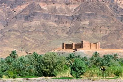 9 самых красивых фотографий оазиса в Марокко