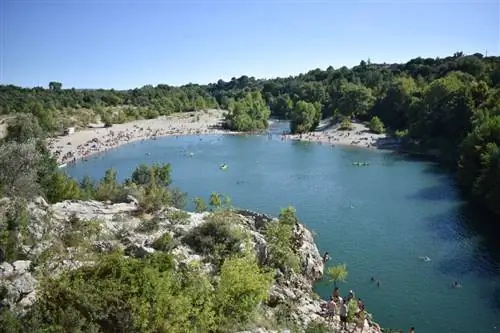 Картина Картина