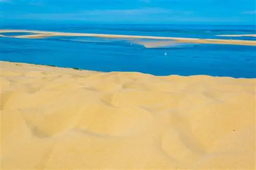 трабантос / Даттерсток. Дюна Пилат в бассейне Аркашона, вид с ее вершины.