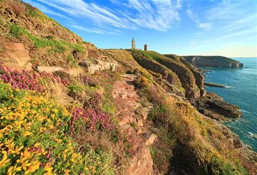 Андре Куину / Cap Fréhel в Бретани выглядит как Ирландия.