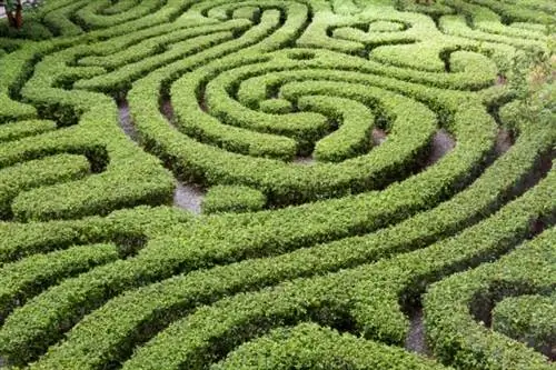 Как может выглядеть парк после блокировки?