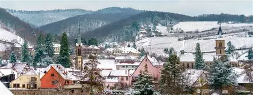 Леонид Андронов / Shutterstock. Деревня Рибовилле покрыта великолепным белым пальто.
