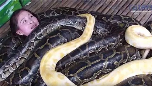 Видео, вот самый опасный массаж