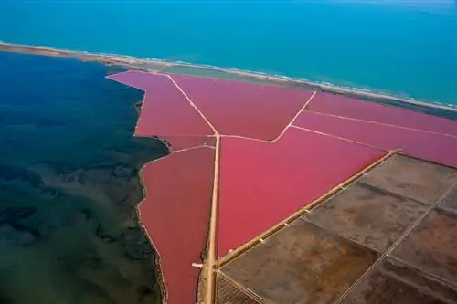 Картина Картина