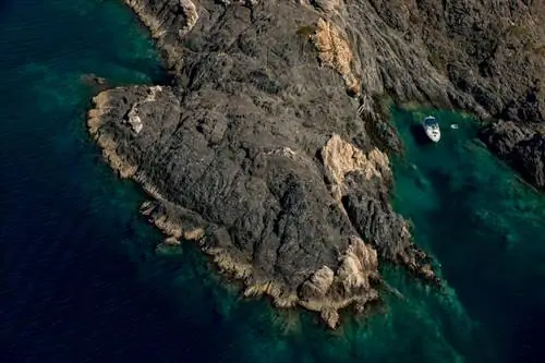 Картина Картина