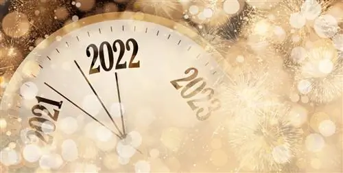 Новая Африка / Shutterstock. Поздравляем наших читателей с Новым 2022 годом.