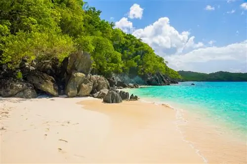 ООО «Фотолюминат» / Shutterstock. Пляж Канкуна под декабрьским солнцем.