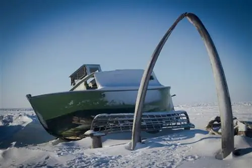 Barrow Whale Bow Аляска Barrow Whale Bow Аляска