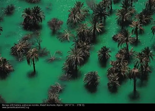 Видео: Алжир таким, каким вы его еще не видели