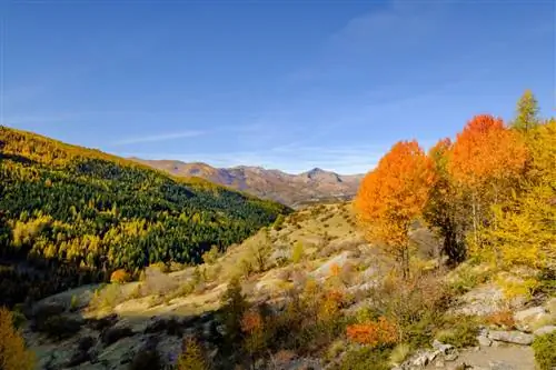 Французские Альпы