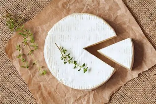 20 французских кулинарных блюд, которыми гордится их город