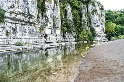 Картина Картина