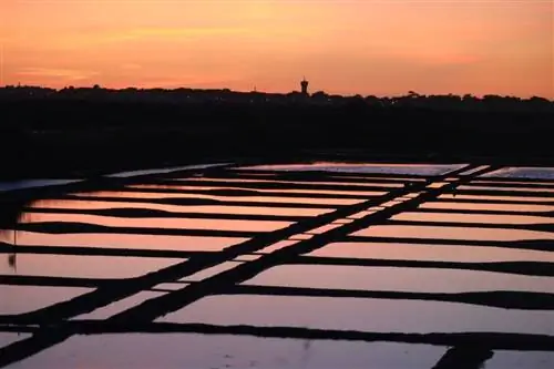 Вернери Ян / Shutterstock. Солончаки полуострова Геранд на закате.