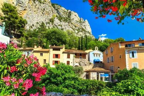 Котиньяк, Вар