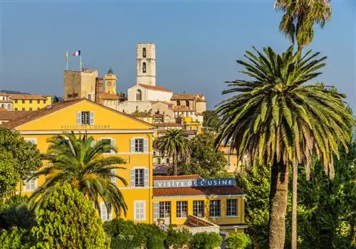 Грасс, Приморские Альпы