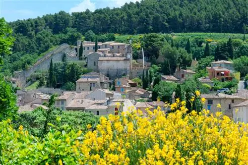 Жигондас, Воклюз