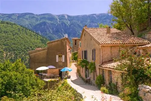 Брант, Воклюз