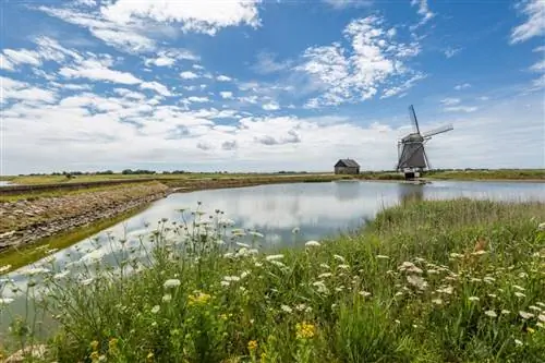 Ветряная мельница и пруд