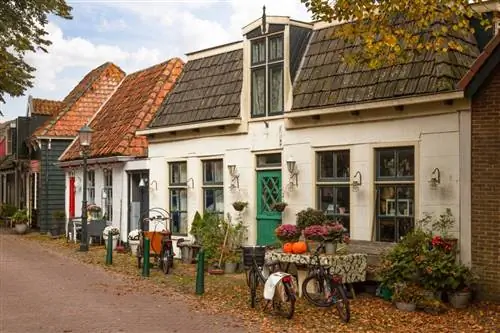 Аллея в деревне Ден Бург