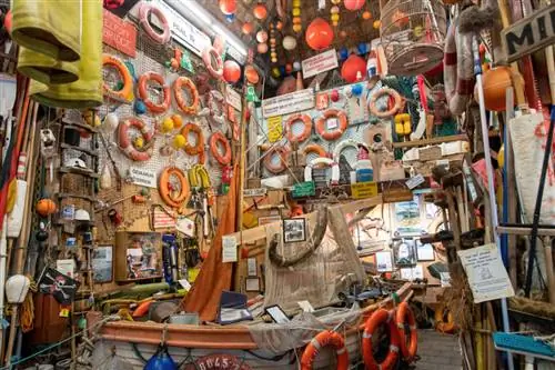 музей флоры