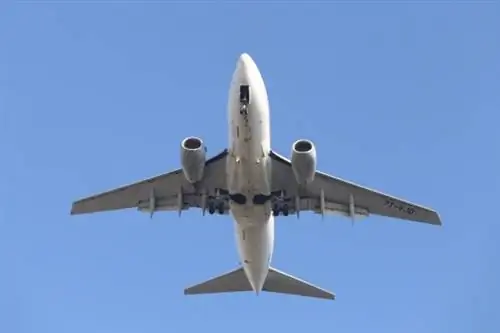 Алжир и Тунис приостанавливают полеты в Европу