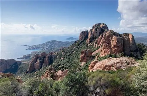 Массив Эстерель