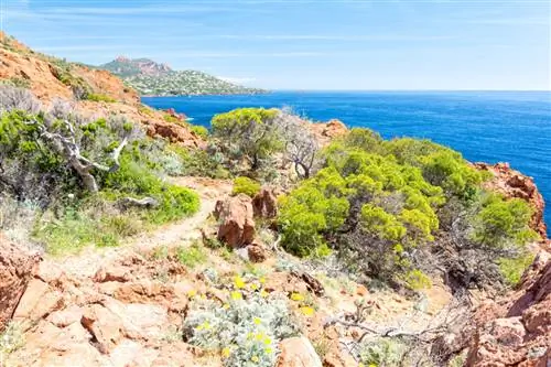 Тропа и бесплодная местность