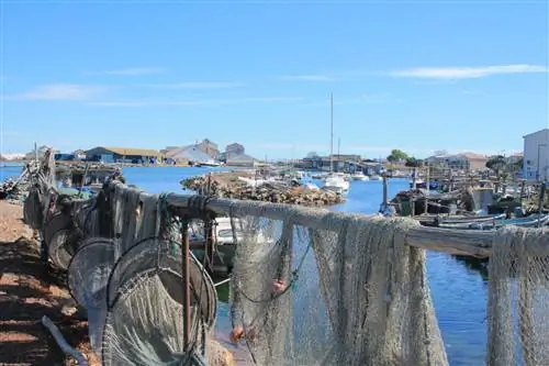 Фоторефлекс / Shutterstock. Пуэнт-Корт, рыбацкий район Сет.