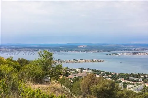 ФредП / Shutterstock. Вид на Сет с высоты города.