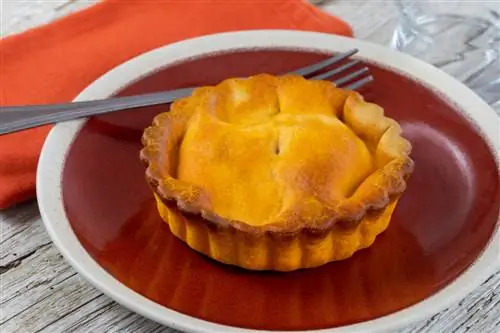 ldgfrphotos / Shutterstock. На тарелке подается tielle sétoise.