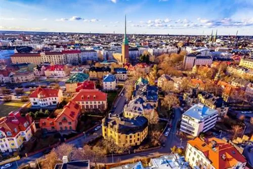 В Финляндии отходы животноводства используются для производства зеленой энергии