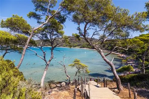 4. Пляжи Porquerolles в PACA