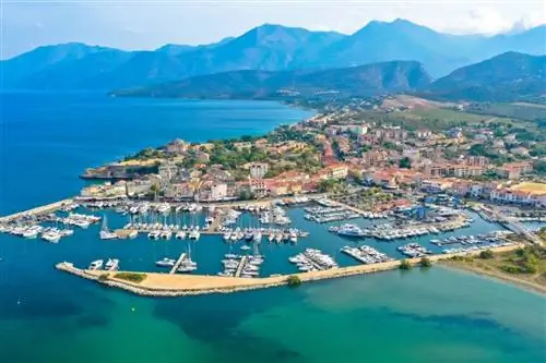 Картина Картина