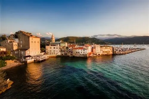 Картина Картина