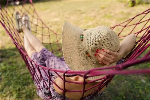 Мильян Живкович / Shutterstock. Вздремнуть на солнышке, в гамаке.