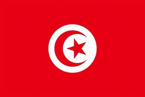 «Мы - Тунис»: самый большой флаг в мире