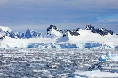 В Антарктиде обнаружен новый остров