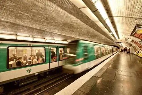 Необычное животное мешает движению в парижском метро
