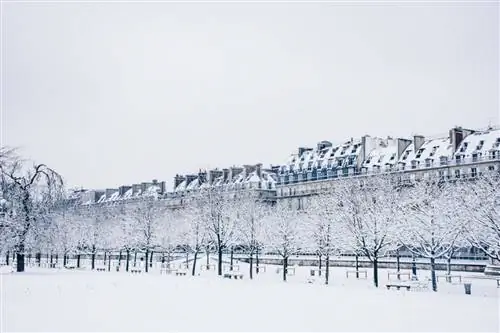 Эйнсли ДС/Шаттерсток. Здания Османа в Париже, покрытые снегом посреди зимы.