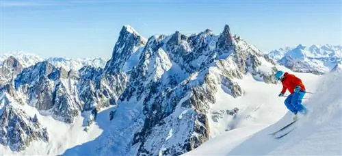 изображения горилл / Shutterstock. Лыжник спускается со склона Монблана.