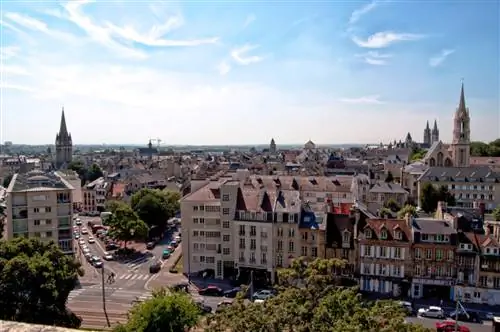 Картина Картина