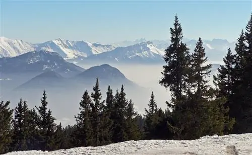 Картина Картина