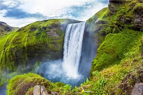 Вид на Скоугафосс с лестницы, ведущей на вершину. Автор LplusD / Shutterstock