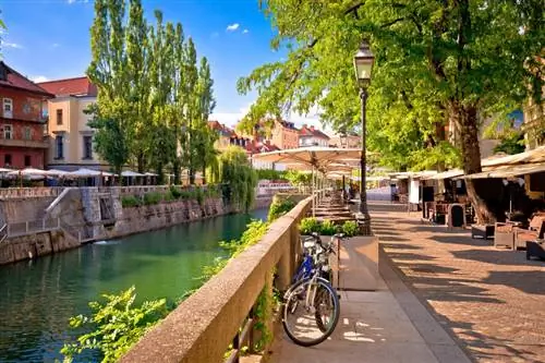 Картина Картина