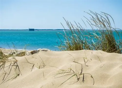 4 вопроса, которые вы всегда задавали себе о форте Боярд