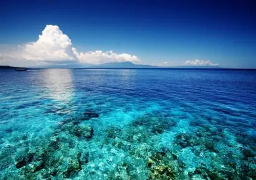 Разгадана тайна пористой массы диаметром 150 км² в Тихом океане