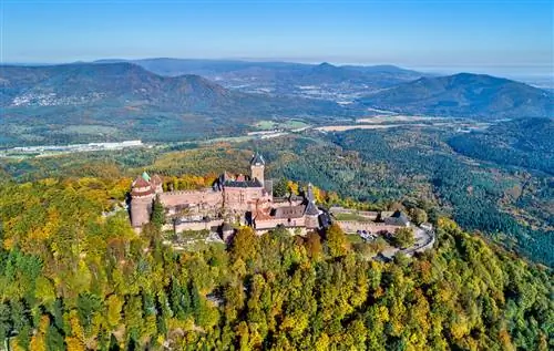Картина Картина