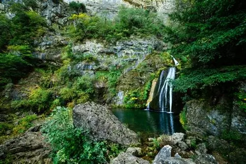 Картина Картина