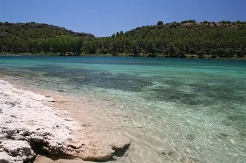 Картина Картина